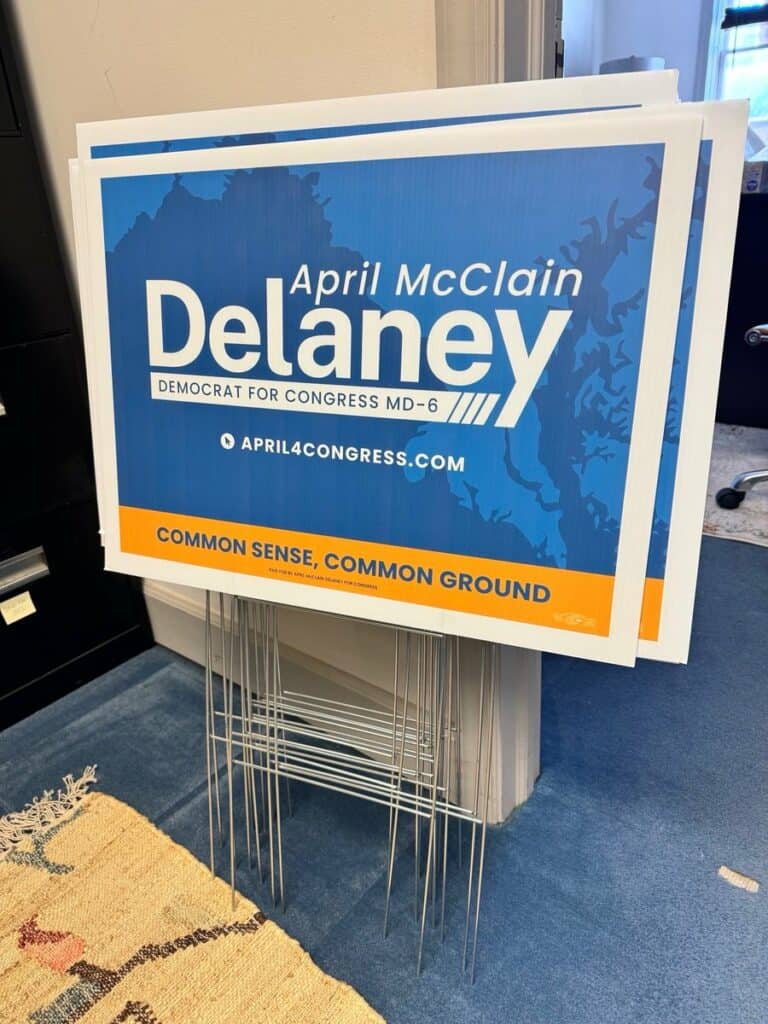 This is a photograph of April McClain Delaney's campaign yard signs. 