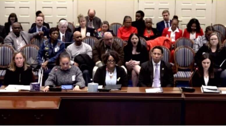 This is a photograph form the March 5, 2024, Maryland House Judiciary Committee Hearing on House Bill 1183.